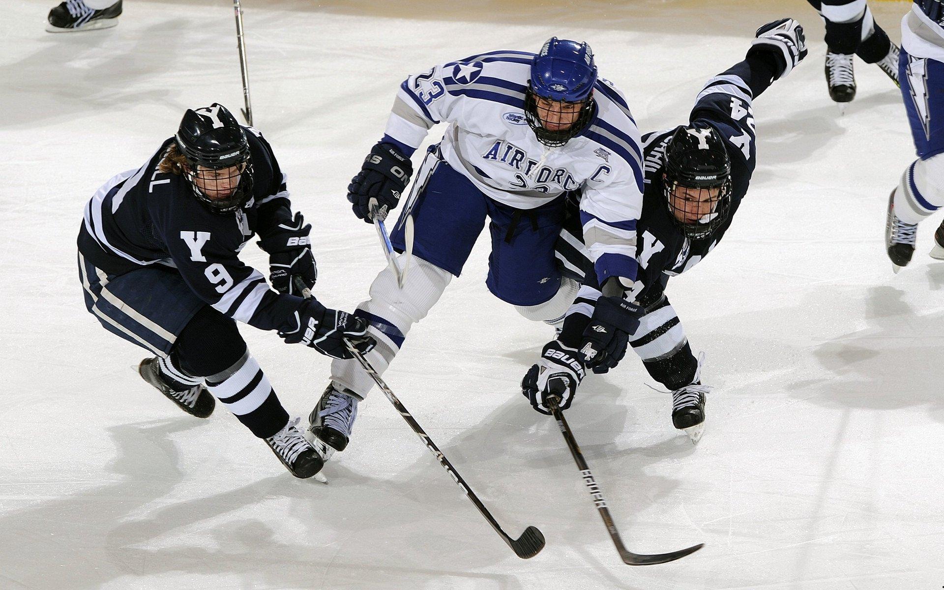 体育仲裁法庭裁定争议案件，维护赛事公平与公正